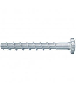 Fischer 546378 skrūve un uzgrieznis 40 mm 100 pcs
