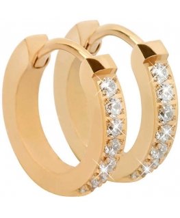 Troli Gold-plated steel earrings with crystals
