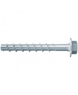 Fischer 546390 kruvi ja polt 40 mm 100 tk