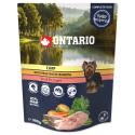 Canned food for dogs : Ontario Dog Carp with vegetables in broth Canned food for dogs : Ontario Dog Carp with vegetables in broth