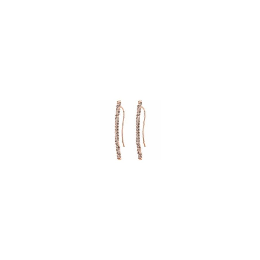 Bennett silver earrings with zircons AGUP1607