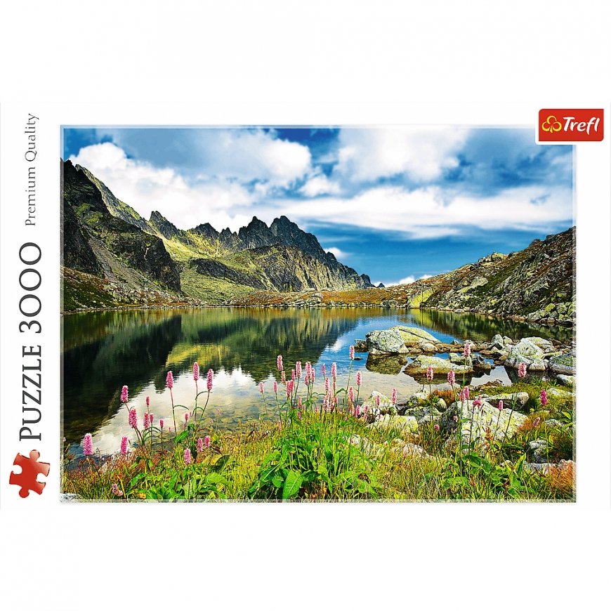 Trefl Starolesnianski Pond, Tatras, Slovakia – 2