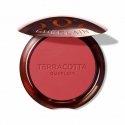 Guerlain Guer Terracotta Powder 24 blush