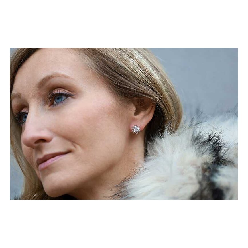 Agata Silver Sparkling Earrings Snowflakes AGT-E007PW – 2