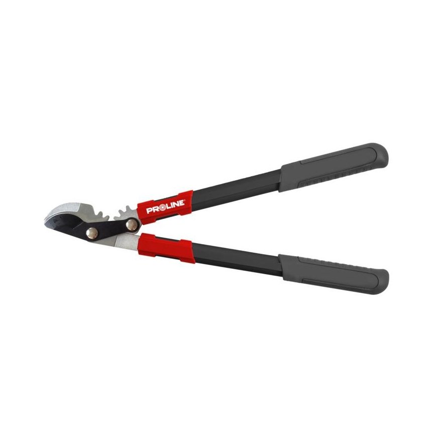 Proline Tools 40055 aitaleikkuri & sakset