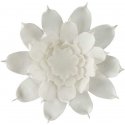 Eurofuran KW/FLORE/731/BB