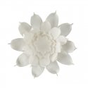 Eurofirany KW/FLORE/731/BB Eurofirany KW/FLORE/731/BB
