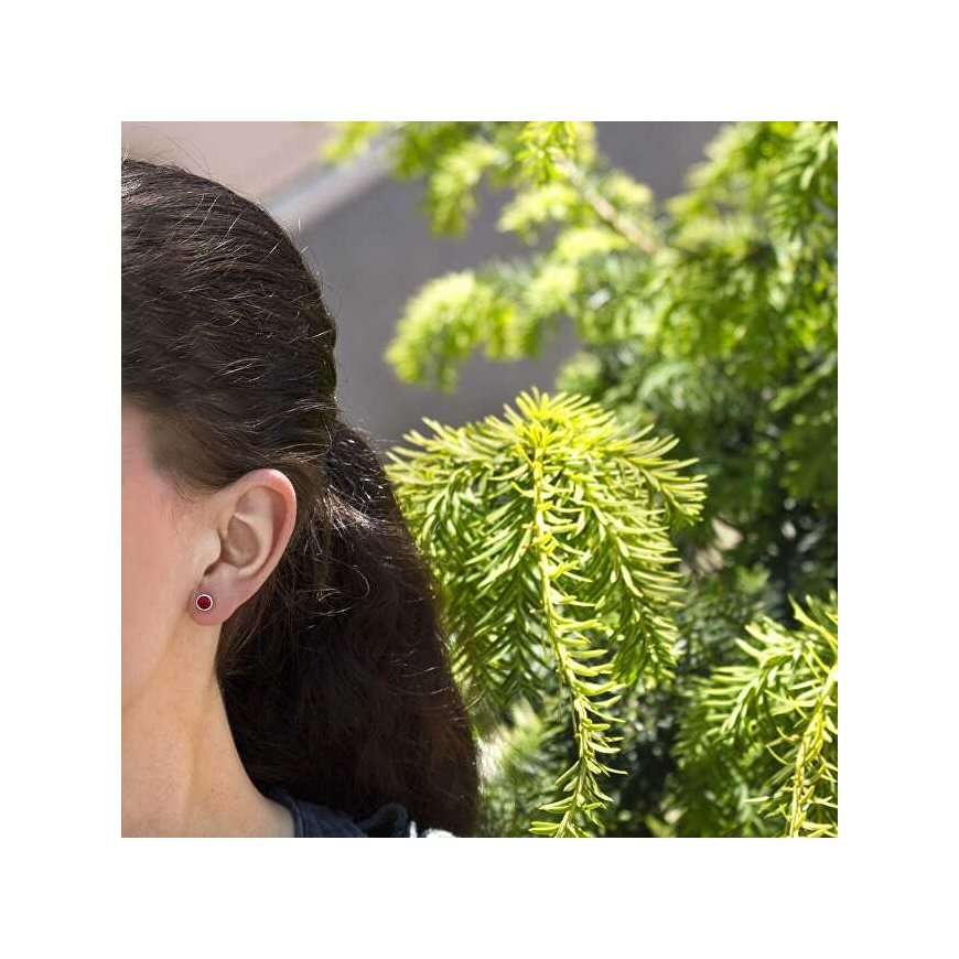 Beneto Silver earrings with shiny zircon AGUP1717S