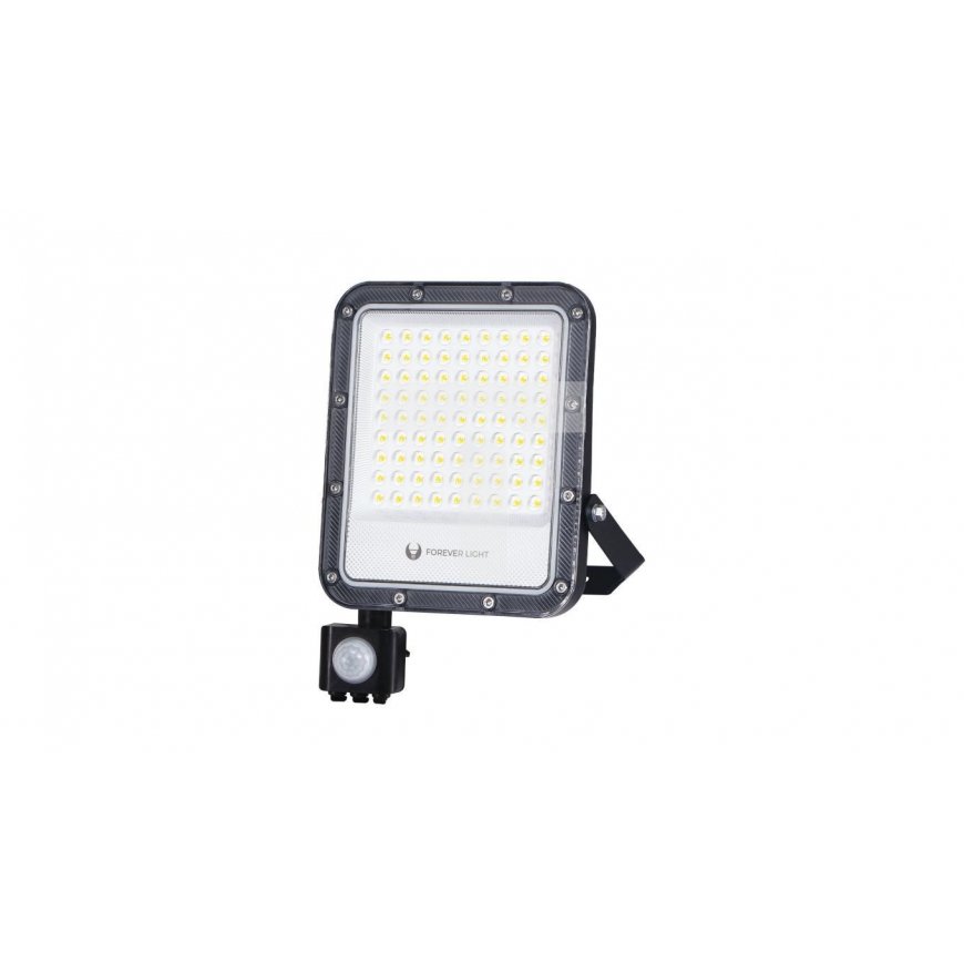 Forever Light Floodlight with Motion Sensor