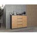 Topeshop 2D4S ANT/ART KPL kumode Topeshop 2D4S ANT/ART KPL kumode