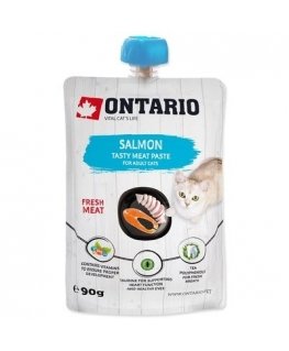Canned cat food : Ontario Salmon Fresh Meat Paste, 90 g