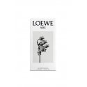 LOEWE Perfumes Aire 100 ml Naised LOEWE Perfumes Aire 100 ml Naised