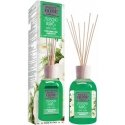 Sweet Home Collection Aroma diffuser Baltas Musk 250 ml 250ml Kvapas namams su lazdelėmis Sweet Home Collection Aroma diffuser Baltas Musk 250 ml 250ml Kvapas namams su lazdelėmis