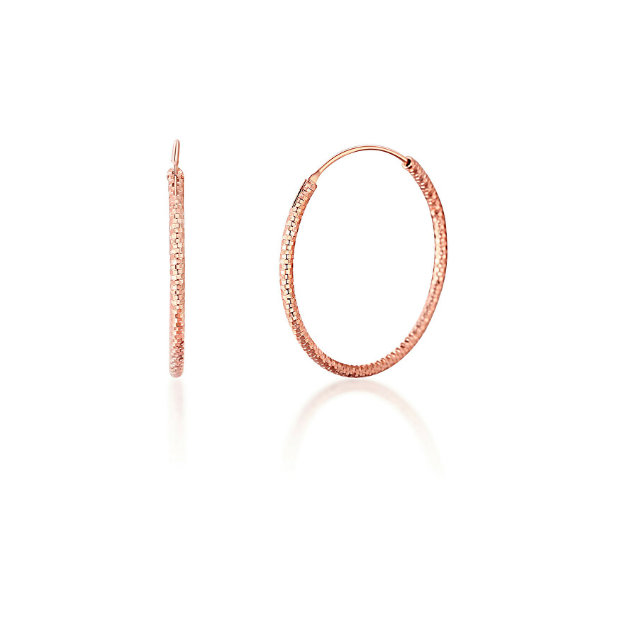JVD Bronze earrings made of silver SVLE0204XD5RO