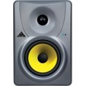 Behringer TRUTH B1030A 2-way Silver Wired