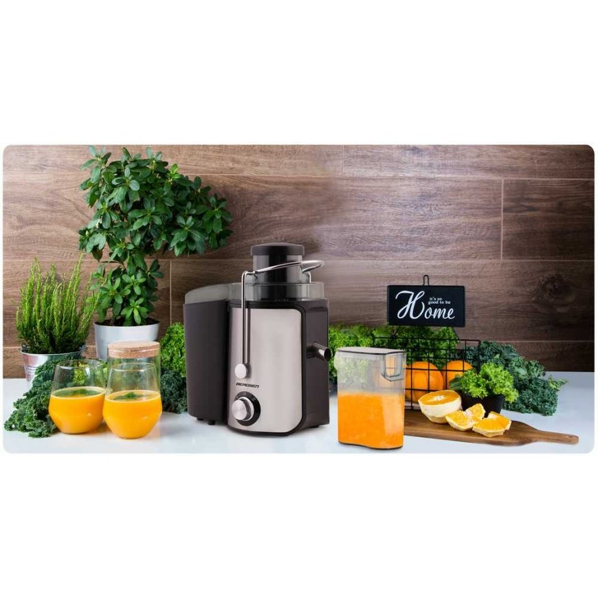 Juicer 600W BD-750 Berdsen black – 5