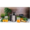 Juicer 600W BD-750 Berdsen black