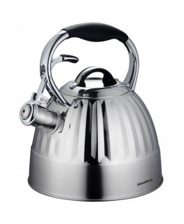 Steel kettle 3.0L KLAUSBERG KB-7479