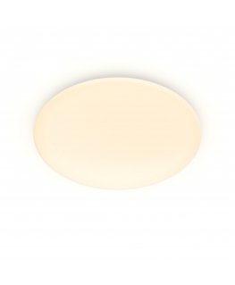 Philips Functional 8719514334991 люстра/потолочный светильник Незаменяемая лампочка(и) LED