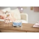 Yankee Candle Ocean Air vaško žvakė Turas Gintaras, Jazminas, Santalas Mėlyna 1 vnt Yankee Candle Ocean Air vaško žvakė Turas Gintaras, Jazminas, Santalas Mėlyna 1 vnt