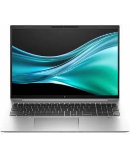 Laptop HP EliteBook 865 G11 silver