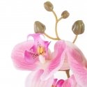 Artificial flower FALENI color pink style modern ameliahome Artificial flower FALENI color pink style modern ameliahome