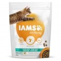 Dry food for cats - IAMS CAT ADULT STERILIZED CHICKEN, 800 gr Dry food for cats - IAMS CAT ADULT STERILIZED CHICKEN, 800 gr