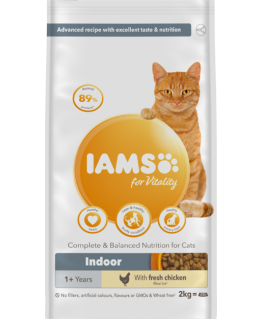 Dry food for cats - IAMS CAT ADULT INDOOR CHICKEN, 2 kg