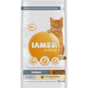 Dry food for cats - IAMS CAT ADULT INDOOR CHICKEN, 2 kg Dry food for cats - IAMS CAT ADULT INDOOR CHICKEN, 2 kg