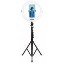 AgfaPhoto ARL11XL vlogger kit AgfaPhoto ARL11XL vlogger kit