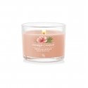 Yankee Candle Tropical Breeze wax candle Round Peach 1 pc(s) Yankee Candle Tropical Breeze wax candle Round Peach 1 pc(s)