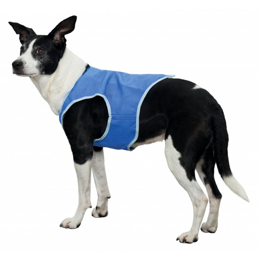 TRIXIE 30134 dog/cat outerwear L Blue Jacket – 2