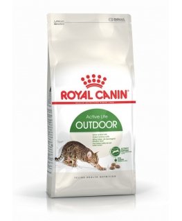 Royal Canin Active Life Outdoor sausā barība kaķiem 4 kg Pieaudzis suns Putnu gaļa