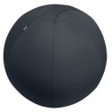 Leitz Active Sitzball 55cm Pilka Vidaus Sferinis Leitz Active Sitzball 55cm Pilka Vidaus Sferinis
