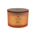 Chesapeake Bay Love & Passion vaško žvakė Turas Greipfrutas, „Mango“ Oranžinė 1 vnt Chesapeake Bay Love & Passion vaško žvakė Turas Greipfrutas, „Mango“ Oranžinė 1 vnt