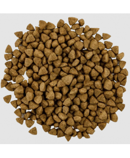 Dry cat food - with chicken 10kg
