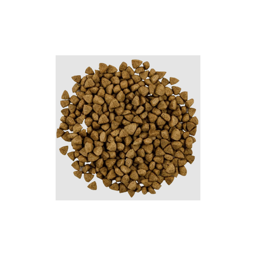 Dry cat food - with chicken 10kg