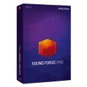 Magix SOUND FORGE Pro 18 Audio editor 1 лицензия(и) Magix SOUND FORGE Pro 18 Audio editor 1 лицензия(и)
