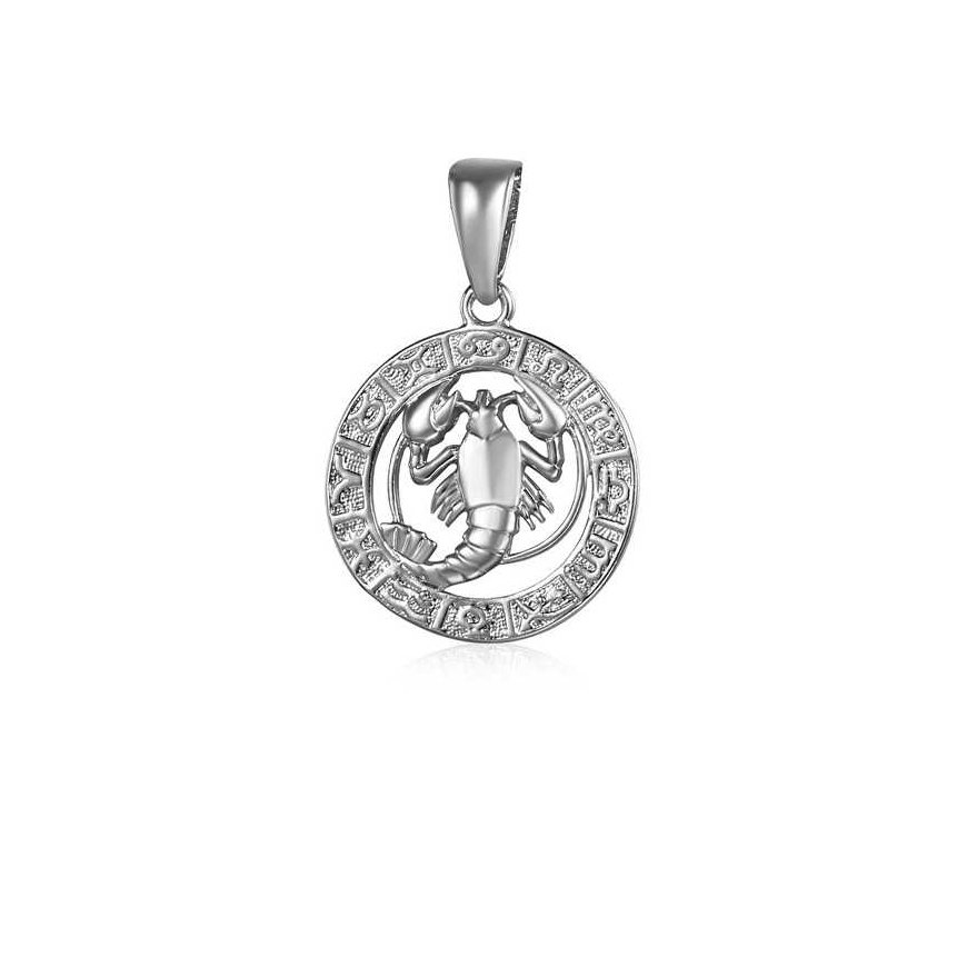 JVD Silver pendant Rak SVLP0713XH200RA