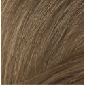Naturtint Permanent 7N Hazelnut Blonde Naturtint Permanent 7N Hazelnut Blonde