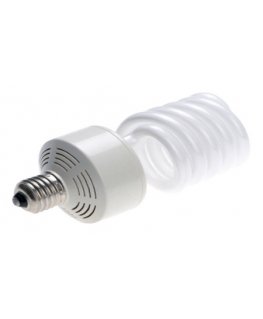 Falcon Eyes ML-40 fluorescent bulb 40 W E27 Daylight