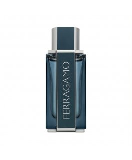 Salvatore Ferragamo Ferragamo Intense Leather 100 ml Miesten