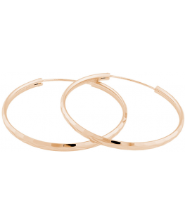 JVD Rožinė auksinis plated sidabrinis earrings rings SVLE0209XD5RO