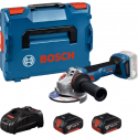 Bosch GWS 18V-11, 2x5.0Ah, GAL1880, LB