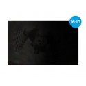 NATEC NFP-2287 display privacy filter 40.6 cm (16") Monitor/Laptop Frameless display privacy filter NATEC NFP-2287 display privacy filter 40.6 cm (16") Monitor/Laptop Frameless display privacy filter