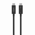 Belkin INZ002bt2MBK 2 m 40 Gbit/s musta Belkin INZ002bt2MBK 2 m 40 Gbit/s musta