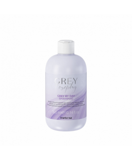 Inebrya Grey By Day Shampoo