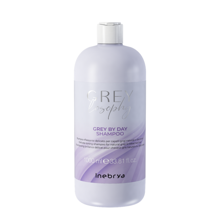 Inebrya Grey By Day Shampoo – 2