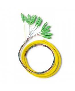 Qoltec 54362 InfiniBand/fibre optic cable 2 m 12x SC Разноцветный