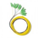 Qoltec 54362 InfiniBand/fibre optic cable 2 m 12x SC Multicolour Qoltec 54362 InfiniBand/fibre optic cable 2 m 12x SC Multicolour